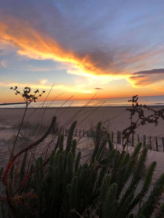 Residence Le Sunset Marseillan-Plage, Entre Mer Et Lagune De Thau, Etape Velo, Famille, Couple, Vrp, Toutou Admis, Jardin, Parking Prive Gratuit, Velos, Clim, Wifi Fibre Gratuite, Commodites, Plage Et Piste Cyclable A Proximite, 6 Couchages Nous Cont Eksteriør billede